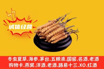 平顶山叶县回收冬虫夏草